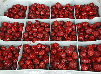 bær, jordbær, sunn, søt, frisk, rød, moden