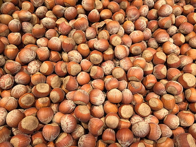 hazelnut, nuts, food, healthy, ingredient, seed, snack
