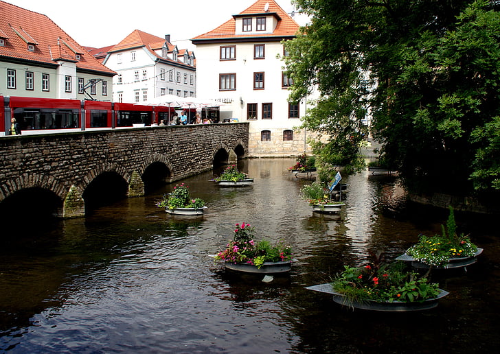water, spiegelen, rivier, bloemen in water, oude stad, kanaal, het platform