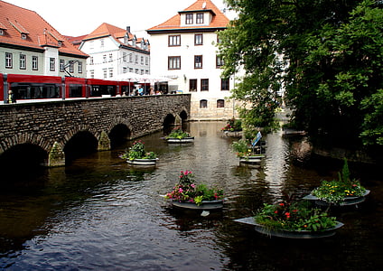 l'aigua, reflectint, riu, flors en aigua, nucli antic, canal, arquitectura