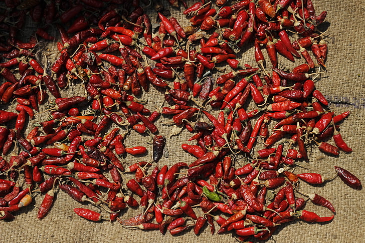 red, chilli, spices, asian, food, healthy, ingredient