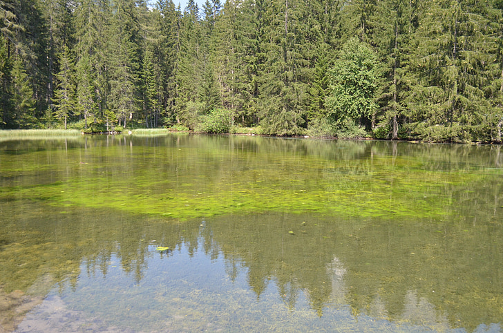 Lake, water, groen, vijver, landschap, spiegelen, reflecties