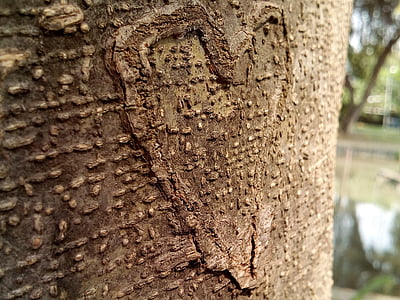 heart, tree, bark, wooden, carving, brown, cute