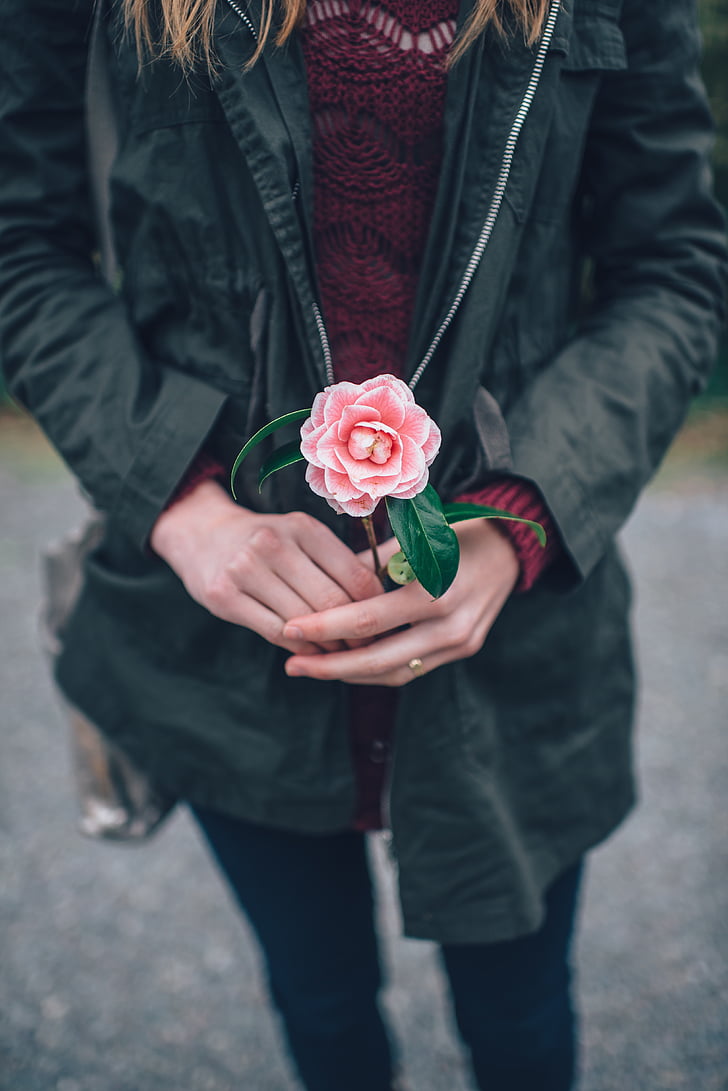 woman, holding, flower, pink, rose, holding flower, hands
