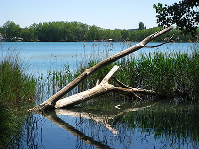 jezero, voda, krajina, Příroda, reflexe, strom, řeka