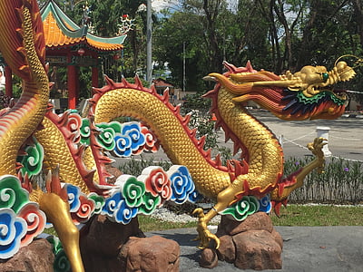 Dragon, zodiaque, Chinois, culture, Orient, Chine, oriental