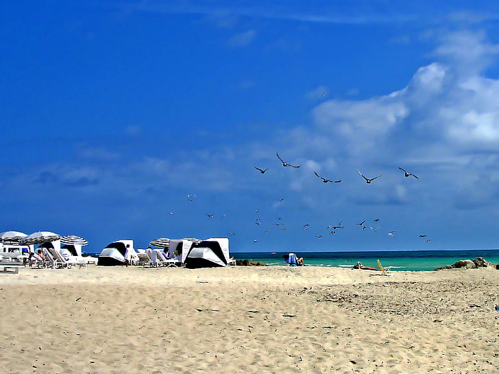 plaža, Miami, more, plava, turisti