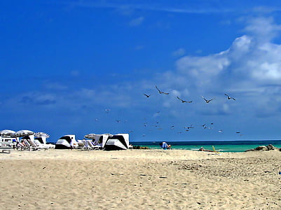 plajă, Miami, mare, albastru, turisti