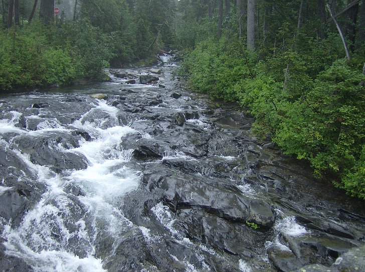 kolde, Mountain, Creek, Washington, staten, landskab, natur