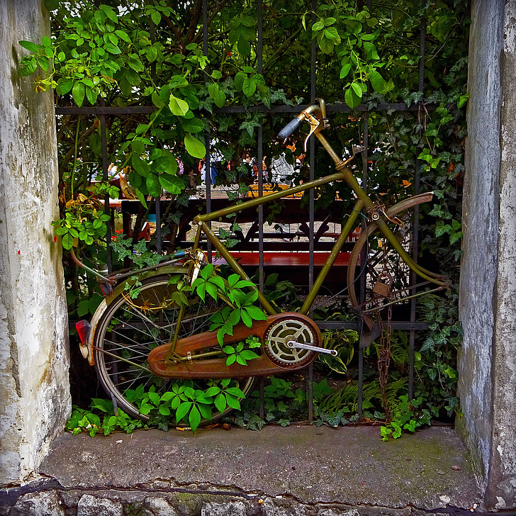 vieux, vélo, rouille, cadre, dusia lac, Kazimierz, Kraków