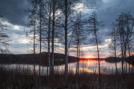 paisagem do lago, Finlândia, Primavera, noite, Lago, paisagem, cenário