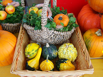 calabazas coloridas, cosecha de calabaza mezclada, cosecha de otoño