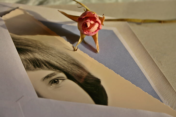 letters, envelope, photo, image, woman, rose, memory