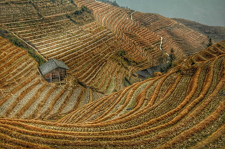 agriculture, china, contours, farming, harvest, landscape, lanscaping