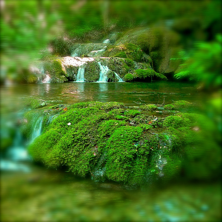 Creek, relajación, cascada, naturaleza, verde