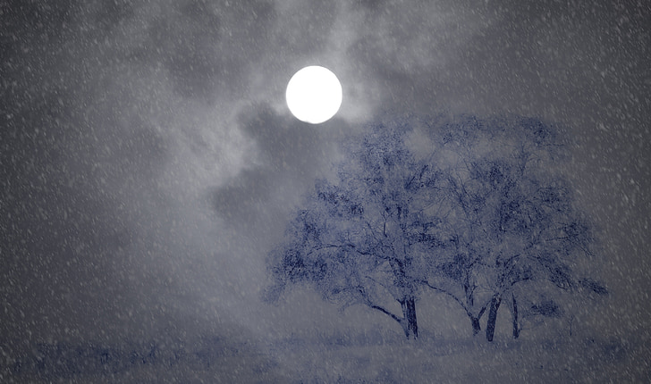 нощ, зимни, дървета, сняг, Луната, снеговалеж, снежна вихрушка