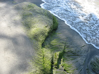 모래, 바다, 바다의 가장자리, 파도, 조 경, 비치, 자연