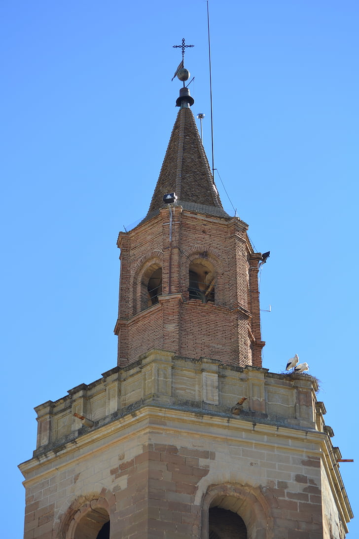 stork, animal world, bell tower, stone, bird, nest, barbastro