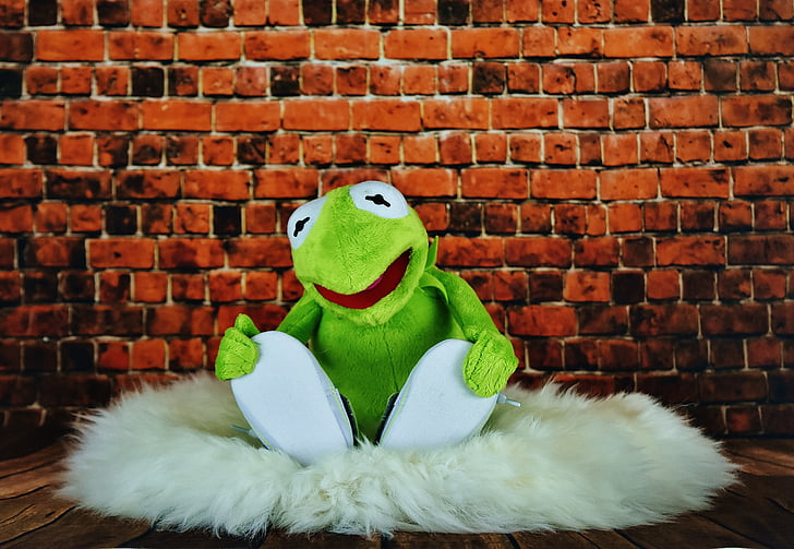 Kermit, varlė, juokingas, Minkštasis žaislas, iškamša, meškiukas, Žaislai