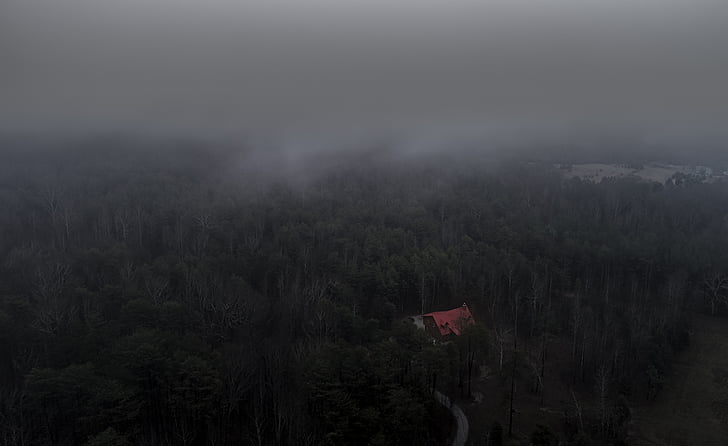 iz zraka, magla, šuma, šume, tamno, kuća, Naslovnica