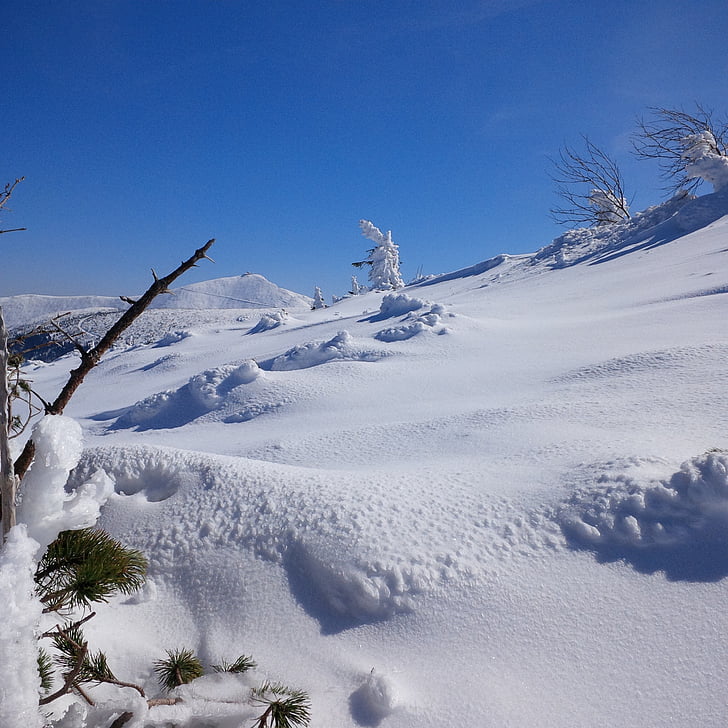 winter, krkonoše giant mountains, snow, winter in the mountains, view, szklarska poręba, szrenica