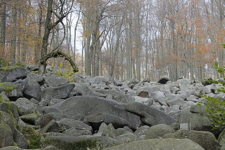 autumn, stones, rock, forest, trees, fall color