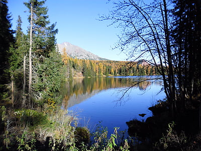 planinama Tatra, lomnic, jezero, šuma