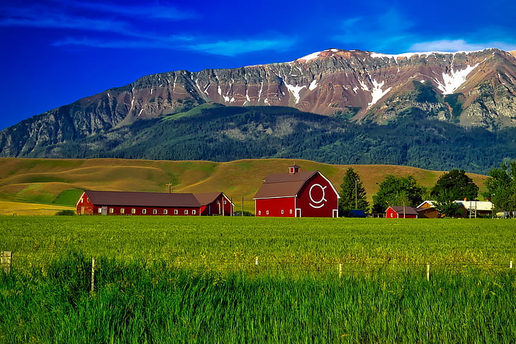 Oregon, granja, montañas, agricultura, graneros, campo, Prado