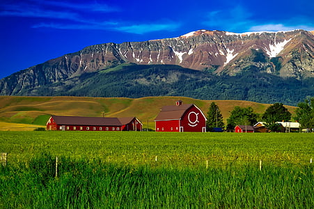 Oregon, fazenda, montanhas, agricultura, celeiros, campo, Prado