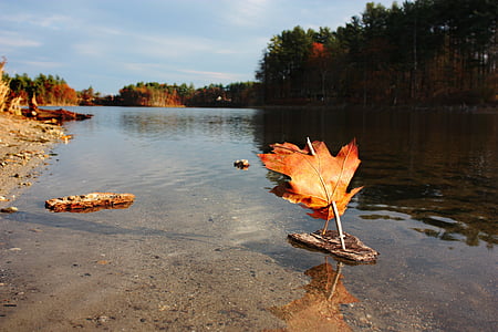 boat, toy, play, fall, pond, autumn, leaf