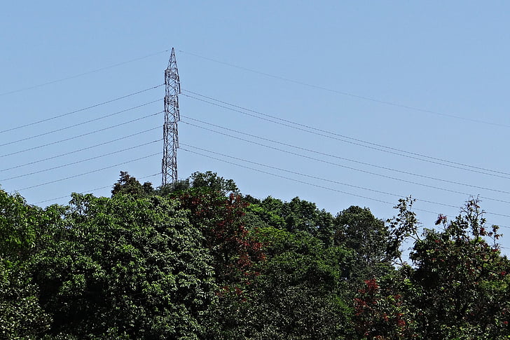 pylon, elektrisk kraft, strøm, linjer, høyspenning, tykk skog, fjell