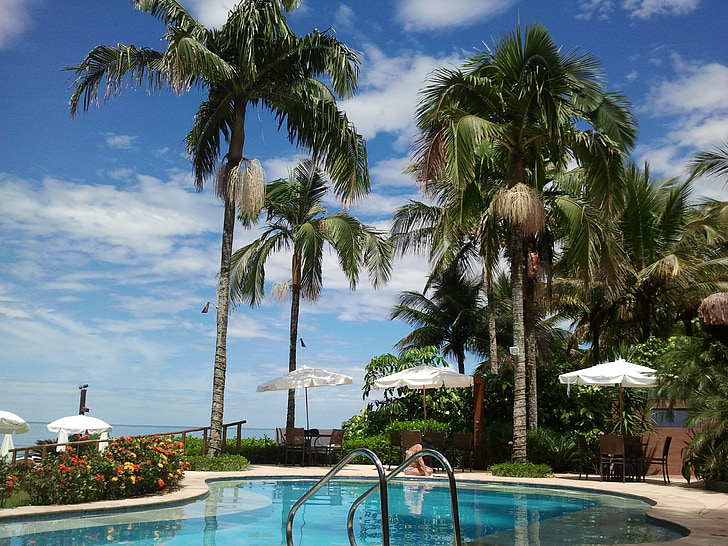 pool, holidays, palm trees, beach, rest, trip, quiet