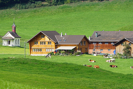 Швейцария, Аппенцелль, поселение, коровы, пастбище, Appenzeller дом