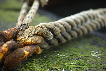 cuerda, antiguo, Daniel, oxidado, marítimo, sólido, Moss