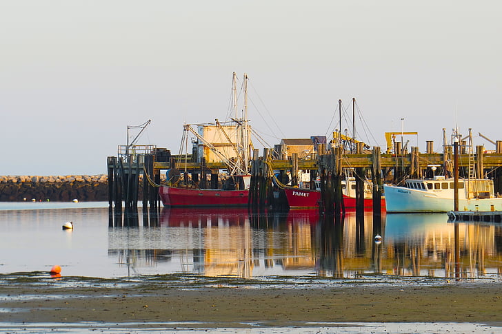 Provincetown, Cape cod, Wharf, naplemente, Massachusetts, táj, természet