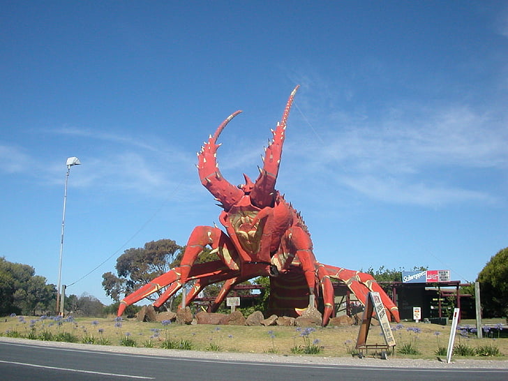 australia, lobster, giant lobster