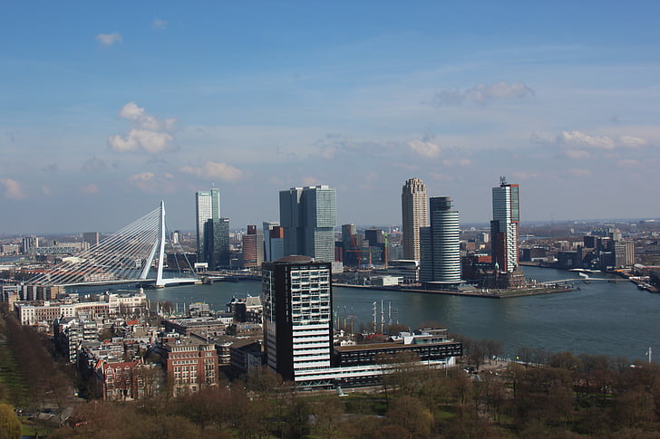 Euromast, Pont Erasmus, Rotterdam, cygne, pont, eau, maille