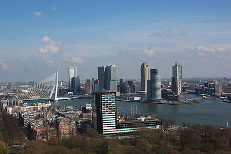 Euromast, Ponte Erasmus, Rotterdam, Cisne, ponte, água, malha