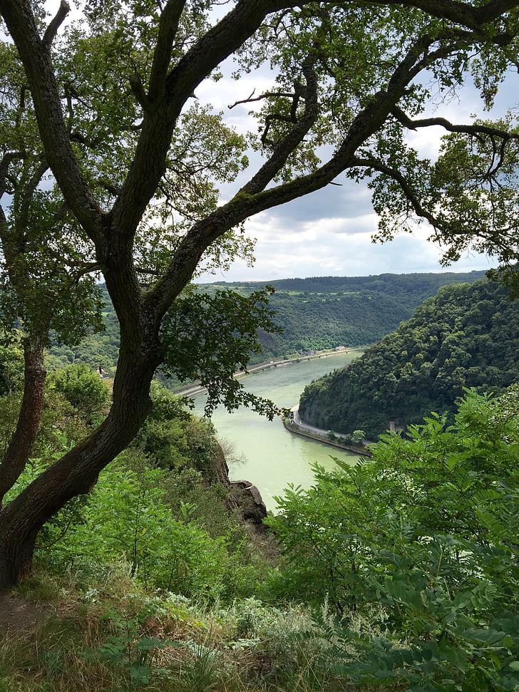 Рейн, река пейзаж, река, пейзажи, природата, панорама, Instagram