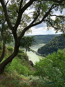 Rhin, paysage de rivière, rivière, paysages, nature, Panorama, Instagram