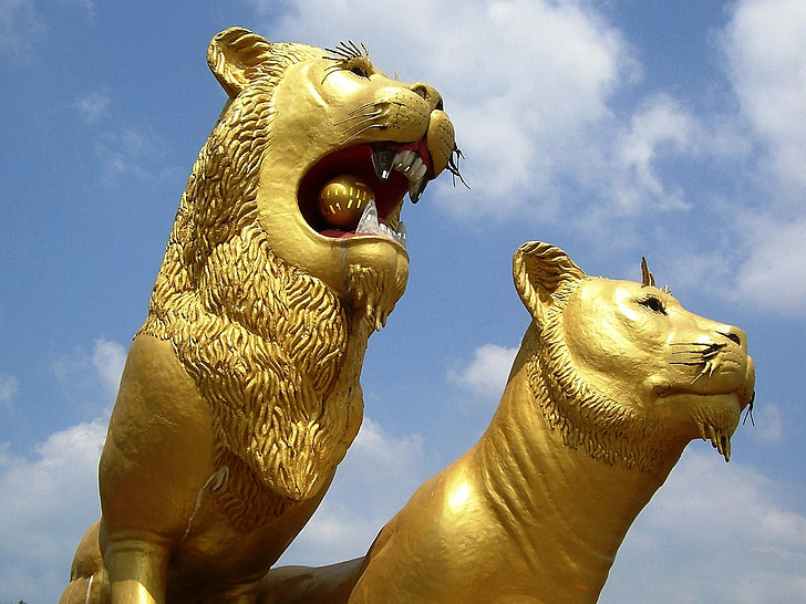 animal, lion, gold, work of art