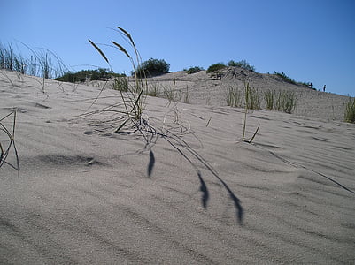 Dune, Lithuania, sabit kuršská, gumuk pasir, alam, pasir, gurun