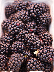 amoras silvestres, bagas, frutas, frutas, preto, delicioso, Rubus secção rubus