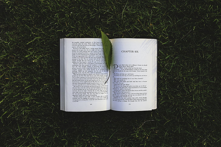 knjiga, chpter, šest, list, trava, čitanje, čitanje