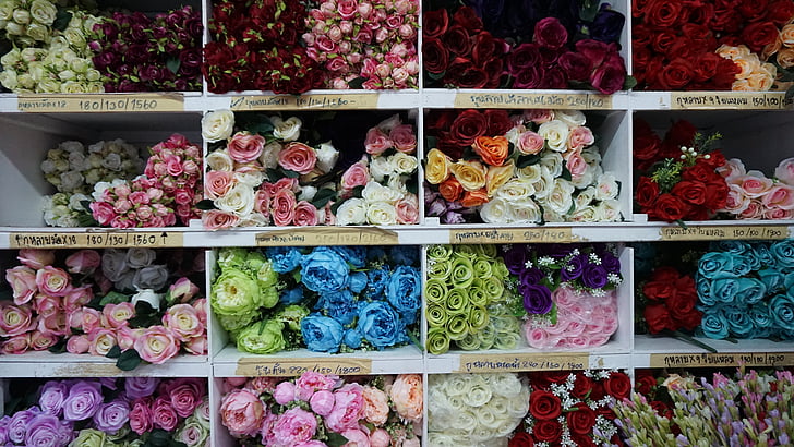 꽃, 장미, 판매, 꽃, 꽃, 하얀, 자연