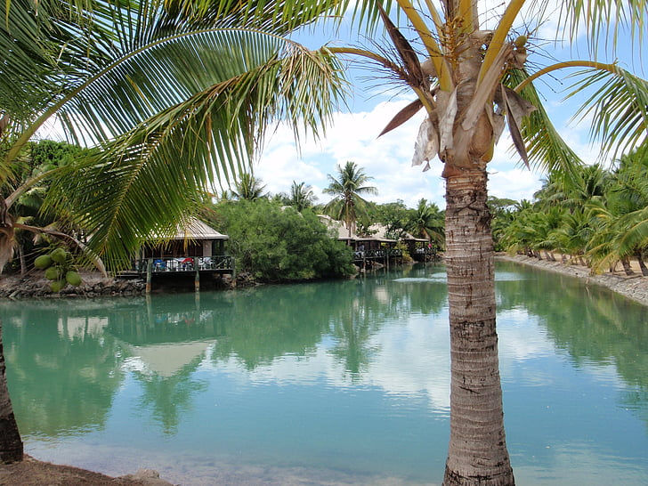 Palm, Resort, sziget, whater, trópusi, nyugodt, csendes-óceáni