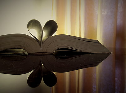 otevřít knihu, kniha, srdce, otevřít, vzdělání, čtení, Deník