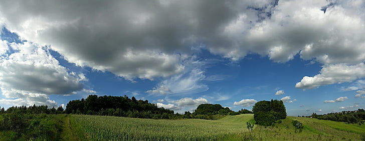 paysage, champs, village de Pologne, Agriculture, la culture de, vert, Sky