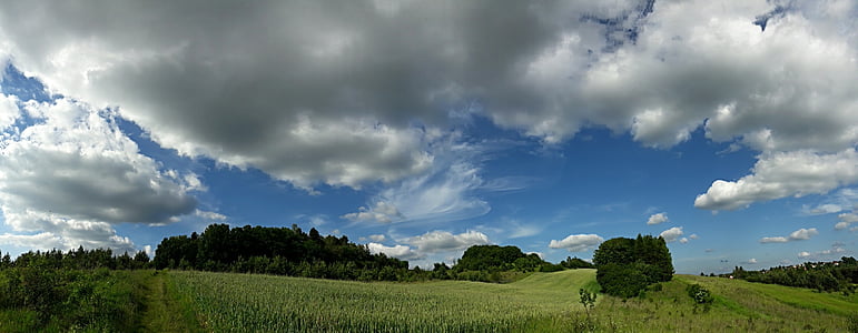 krajina, pole, vesnice v Polsku, zemědělství, pěstování, zelená, obloha