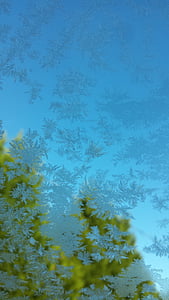 Frost, vindue, bil, træer, iskolde, kolde, glas